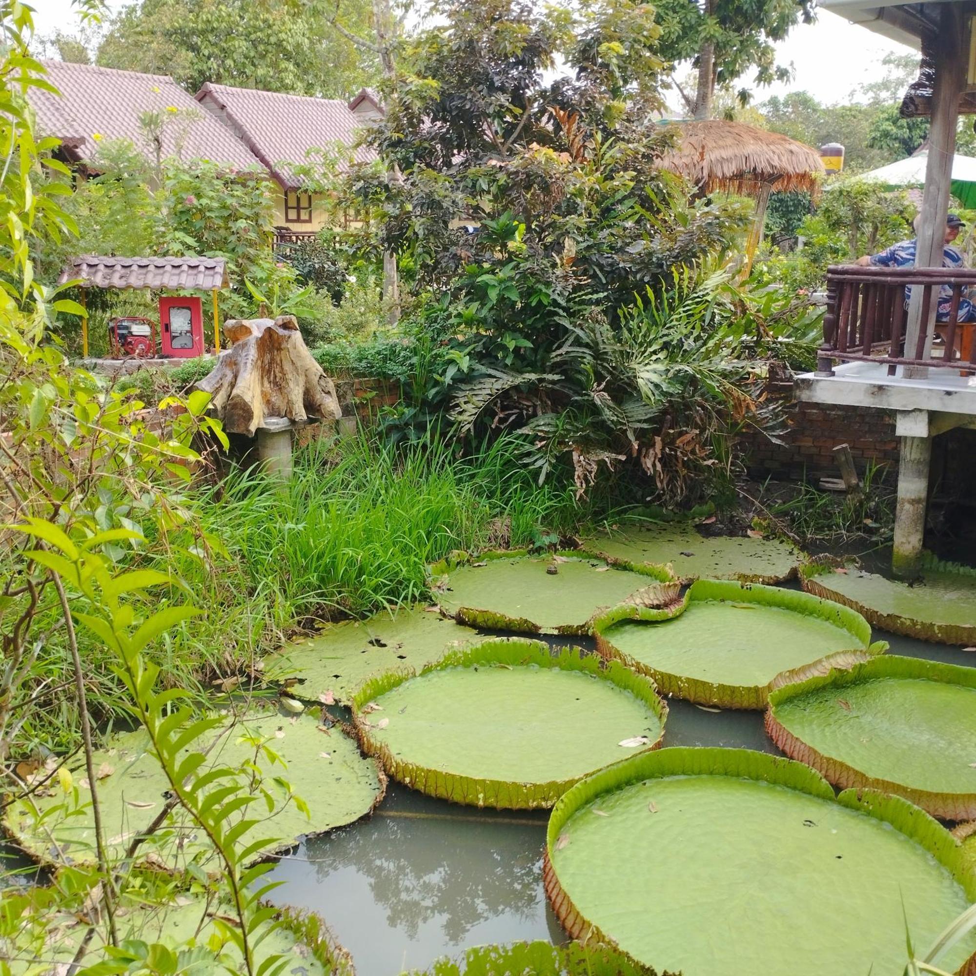 Brown House Resort Cần Thơ Extérieur photo